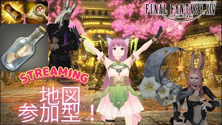 【FF14】ニキと行く！光の地図の旅【Atomos / Elemental DC】