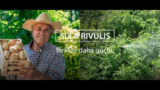 Siz ve Rivulis - Birlikte daha güçlüyüz: Patates ve Süper10