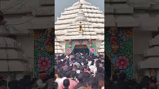 Shri Baladevjew Temple on New Year 2025 #jagannath #jagannathtemple #kendrapara #shorts