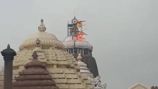 Eagle Pulls Away Patitapawan Flag From Nilachakra Of Puri Jagannath Temple