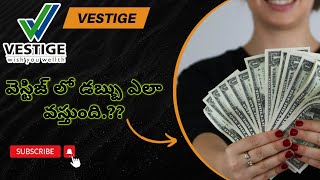 వెస్టిజ్ లో డబ్బు ఎలా వస్తుంది.?? MSR Sir vestige business #vestige #vestigeindia #money #telugu