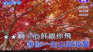 卡拉【心肝跟你飛】( 詞-邱宏瀛 曲-黃明洲\u0026吳舜華 ) 男調升一bE