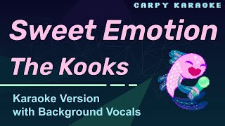 The Kooks - Sweet Emotion (Karaoke)