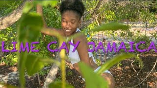 A Day in Lime Cay Kingston Jamaica