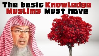 What is the basic fundamental knowledge of Islam every Muslim must know? - assim al hakeem