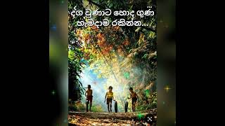 💛 හොද ළමයෙක් 💛