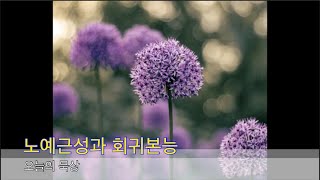 오늘의 묵상 - 노예근성과 회귀본능 (박재권 목사님 글)