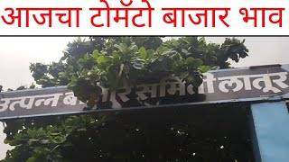 आजचा टोमॅटो बाजार भाव लातूर मार्केट