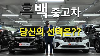 대한민국 아빠차~ 더 뉴 카니발~ 당신의 입맛에는 어떤것이??