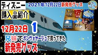 ディズニー　2021年12月22日発売新グッズ　兄妹でボンヴォヤージュ行って買ってきたもの紹介　購入品紹介