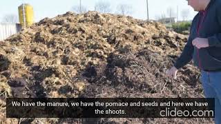 Formation and use of compost in viticulture, from waste to valuable fertilizer