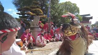 令和6年度 播州秋祭り 荒井神社 扇町【宵宮：神社 獅子舞】