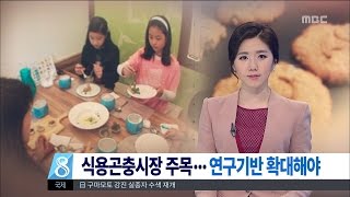 [대전MBC뉴스]식용곤충 '급부상'...연구기반은 '아직'