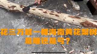 海南黄花梨树被虫子咬死花三万买下，劈开表面都是眼睛，赚了？