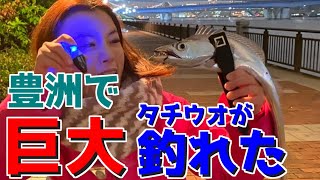 【釣りガール】豊洲で巨大タチウオが釣れた!!そして食べる!!釣り方の解説あり!! 【豊洲ぐるり公園】【豊洲釣り】【タチフロート】【ハピソン】【杉田千紘】【豊洲ぐるり公園】