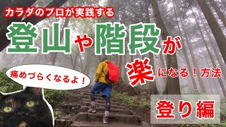 【登山・階段】カラダのプロの傷めにくく楽な登り方！