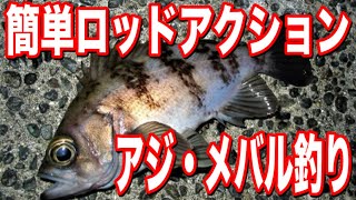 【アジング・メバリング】この簡単ロッドアクションでアジ・メバル釣れちゃいます！