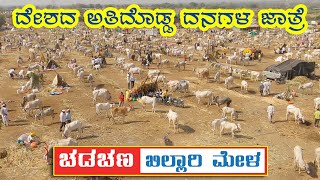 Chadchan Khillar cattle fair 2023