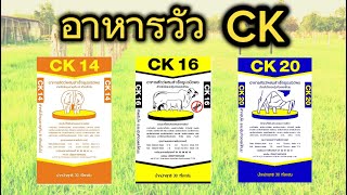 อาหารวัว CK