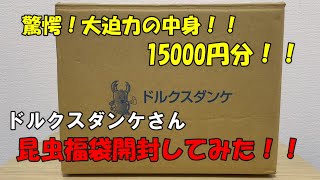 【福袋】ドルクスダンケさんの昆虫福袋15000円分開封してみた！！【カブトムシ・クワガタ】