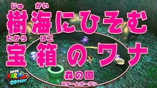 【スーパーマリオ オデッセイ】樹海にひそむ宝箱のワナ＃８８