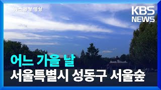 [뉴스광장 영상] 어느 가을 날 / KBS  2022.10.12.