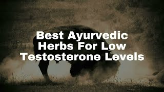 Best Ayurvedic Herbs For Low Testosterone Levels 2023