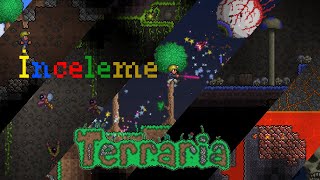 Terraria | Sadece Bakıyorum!!!