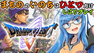 【ドラクエ5】天空への塔へGO✨完全初見プレイ🎮モンスター縛りプレイ😈ドラクエⅤ🐉【ドラゴンクエスト5 天空の花嫁 PS2版 #12】