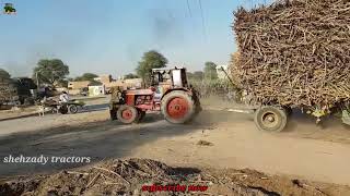 Tractor Trailer & Fail On Ramp With Help Belarus 510 Tractor | Sugarcane Load Trailer Fail On Ramp