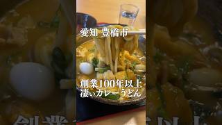 愛知で1番旨いカレーうどん！創業100年