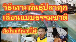 วิธีเพาะพันธุ์ปลาดุกเลียนแบบธรรมชาติมือใหม่ก็เพาะได้#วิธีเพาะพันธุ์ปลาดุก#เพาะปลาดุก#เลี้ยงปลาดุกep5