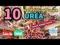 10 Hal Tentang Pupuk Urea Untuk Kelapa Sawit