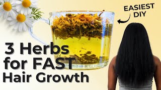 Unlock Natural Hair Growth: Chamomile, Nettle, \u0026 Horsetail Secrets!