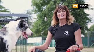 Dog Crate Superior by Ferplast: how to do it right