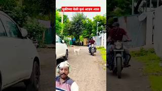 चुकीच्या वेळी कुत्रं आडव आल 🐕‍🦺😂#comedyvideos #shorts #trendingshorts