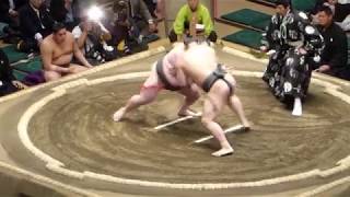 Daishoryu (0-1) - Wakamotoharu (1-0) , Sumo : Natsubasho '18