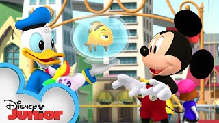 Mickey's Carnival Caper 🎡 | Mickey Mouse Hot Diggity Dog Tales | Disney Junior