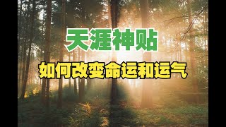 天涯神贴：如何改变命运和运气丨作者：狂乱的眼丨发布时间：2008 1 19