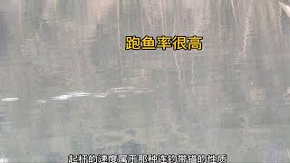 钓友首次体验长竿短线钓