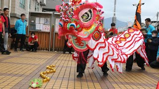 2025年錦田鄉事委員會團拜 #錦田水頭村醒獅團