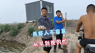 养虾人不容易谁能体会，一天忙到晚就怕出毛病，还得经常化验水质