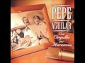 Ya Viene Amaneciendo by Pepe Aguilar