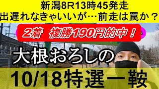 【競馬予想】10月19日の特選一鞍【大根おろし】