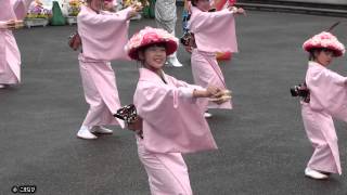 舞士道（ぶしどうさん　2014・南砺菊まつり会場