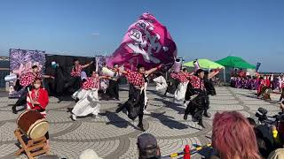 櫻゛with 千葉城太鼓『驀地(まっしぐら)～千年夜の秋桜～』／第19回黒潮よさこい祭り2022（2022/11/27）@利根川会場