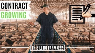 CONTRACT Pig Farming For Beginners