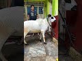 Throwback from Bakrid 2022