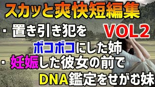 【スカッとする話】【短編集VOL2】置き引きに遭った姉が、自宅で待ち伏せし犯人をボコボコにした。後日…