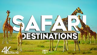 Top 10 Most Famous Big Game Safari Destinations - Travel Guide 2024